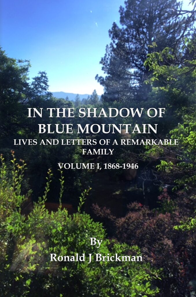 in the shadow of blue mountain volume 1