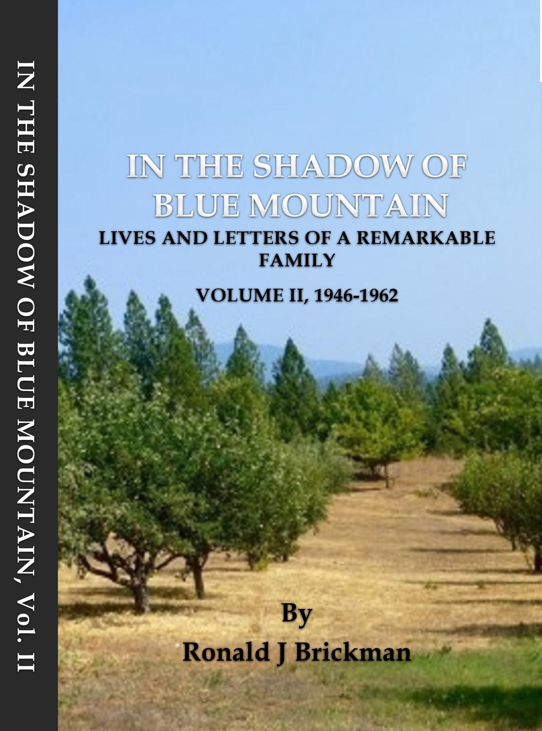 in the shadow of blue mountain volume 2