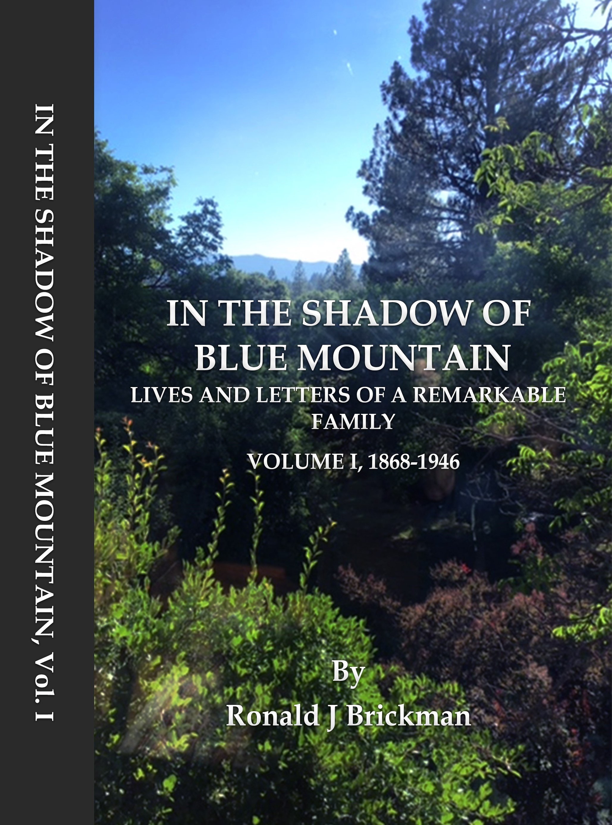 in the shadow of blue mountain volume 1