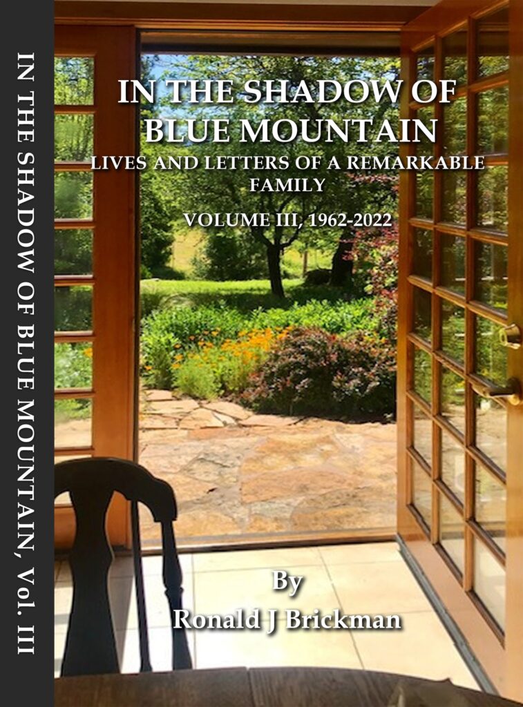 in the shadow of blue mountain volume 3